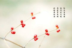 祝别人新婚快乐的诗句