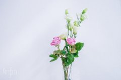 桔梗花的花语是什么，结婚用合适吗