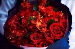 老婆生日送什么花