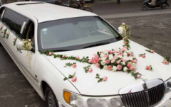 婚车类型  结婚婚车用什么好