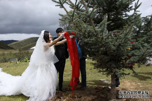 谢娜的婚纱  太阳女神的奢华婚纱.png